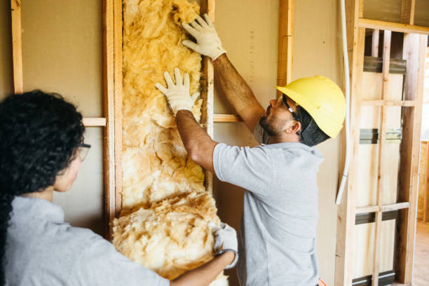 Professional Insulation Contractor in Ash Flat, AR