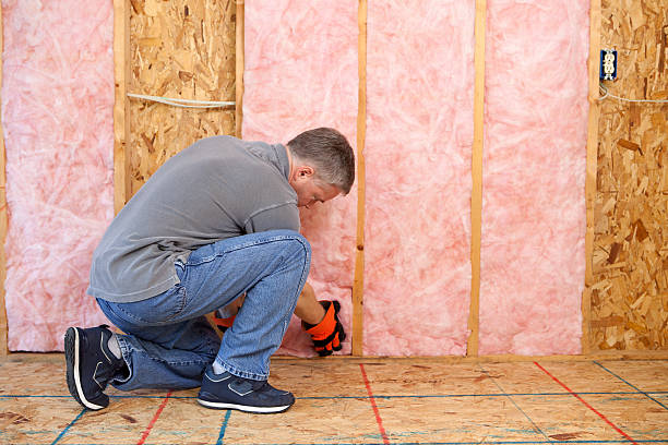 Best Best Insulation Companies  in Ash Flat, AR