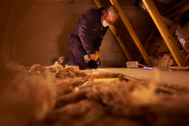 Best Spray Foam Insulation  in Ash Flat, AR